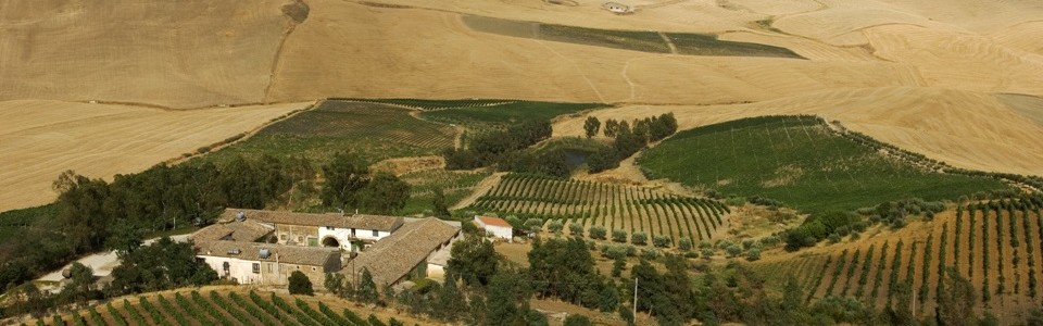 CASA VINICOLA FEUDO MONTONI