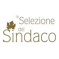 selezione-del-sindaco-logo