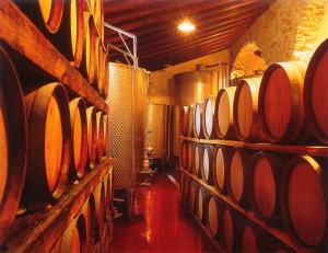 Barricaia