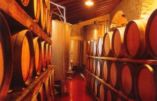 Barricaia