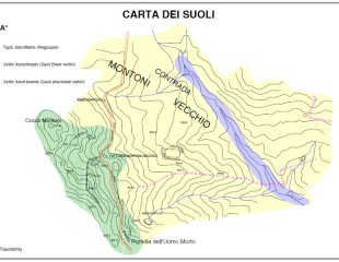 Carta dei Suoli di Feudo Montoni