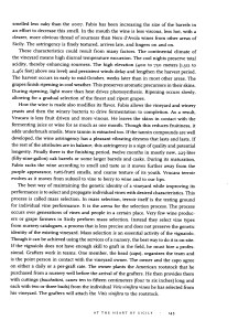 Bill Nesto-pag. 4_jpeg