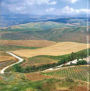 BOOK_ “Voyages” image 1