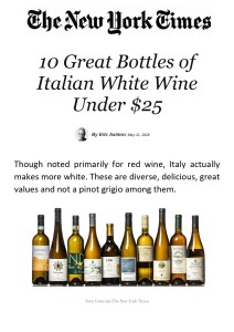 GRILLO ARTICOLO_page-0001