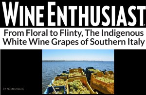 WINE ENTHUSIAST - COPERTINA